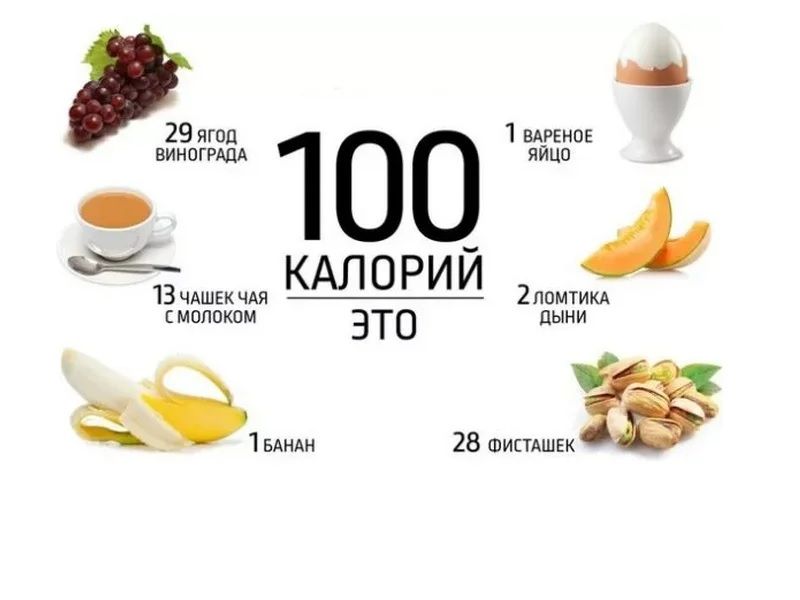 Познавая нутрициологию - преимущества знаний о питании для каждого человека